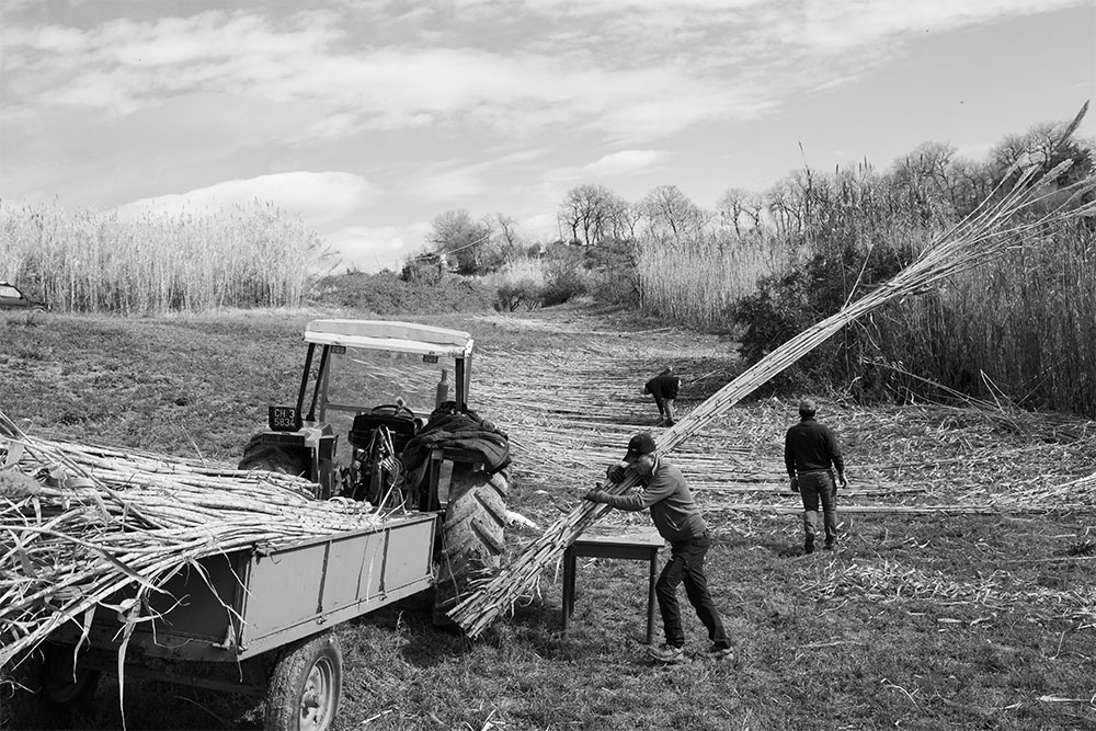 Alessandra Gasbarri | Reportage & Storytelling 2025/2026
