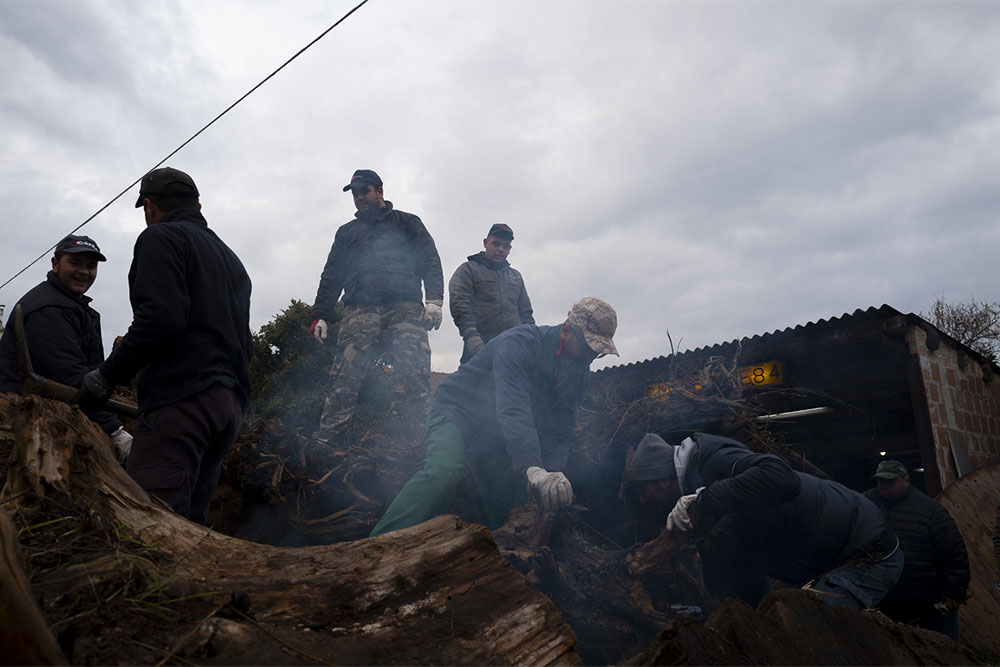 Camilla Clemenza | Reportage & Storytelling 2025/2026